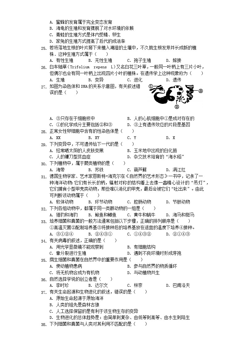 初中生物中考复习 云南省昆明市盘龙区2019年中考生物一模试卷（含解析）第3页