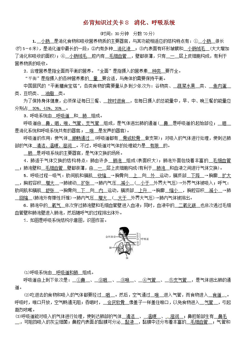 初中生物中考复习 中考生物总复习必背知识过关卡8消化呼吸系统第1页