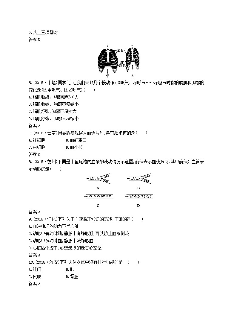 初中生物中考复习 中考生物总复习单元检测(四)02