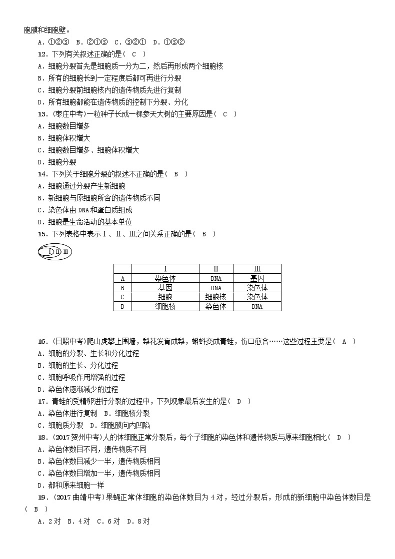 初中生物中考复习 中考生物总复习第1节细胞通过分裂产生新细胞精练第2页