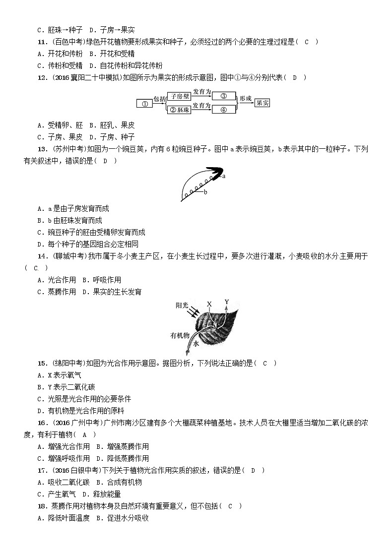 初中生物中考复习 中考生物总复习第2部分重难点过关专题2生物圈中的绿色植物第3页