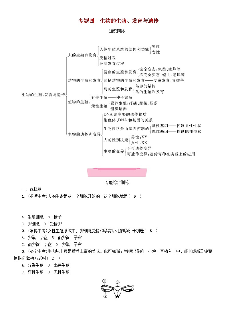 初中生物中考复习 中考生物总复习第2部分重难点过关专题4生物的生殖发育与遗传第1页