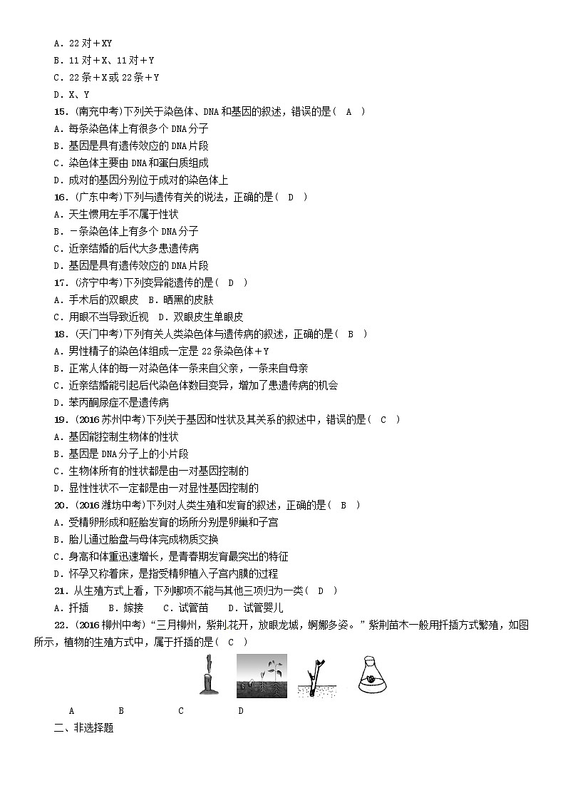 初中生物中考复习 中考生物总复习第2部分重难点过关专题4生物的生殖发育与遗传第3页