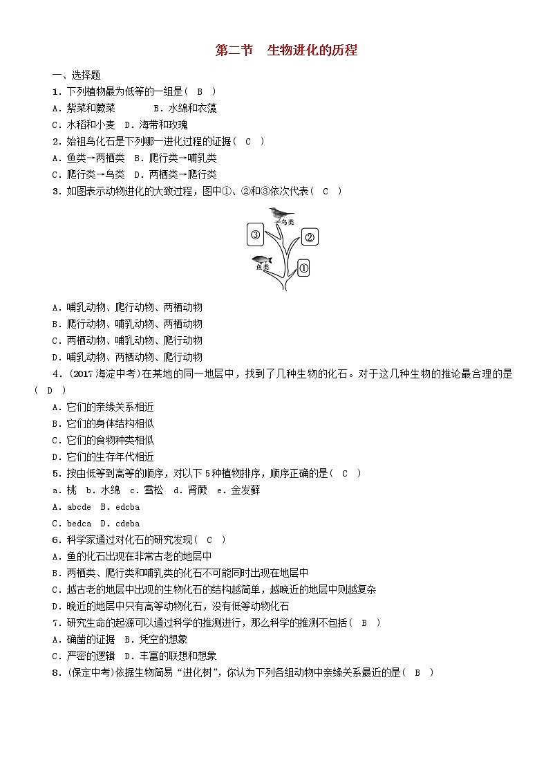 初中生物中考复习 中考生物总复习第2节生物进化的历程精练第1页