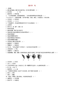 初中生物中考复习 中考生物总复习第6节鸟精练