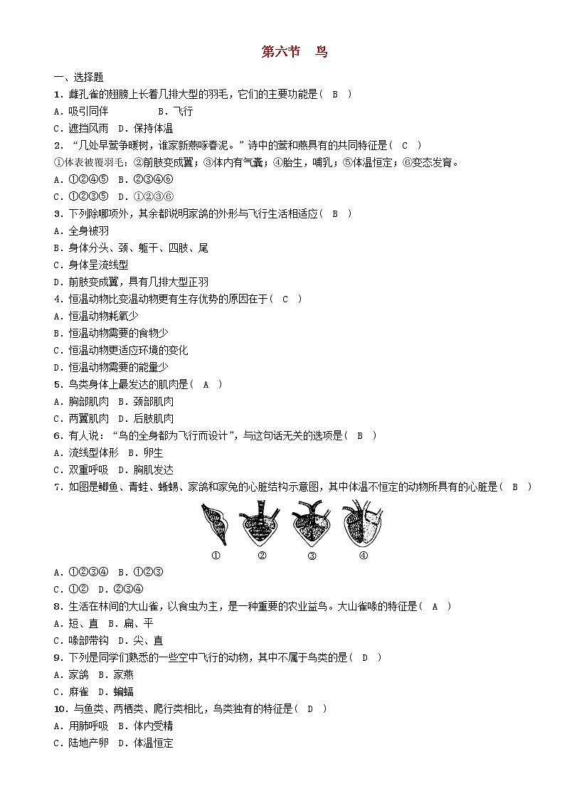 初中生物中考复习 中考生物总复习第6节鸟精练第1页