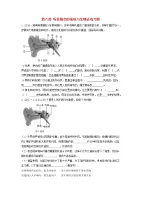 初中生物中考复习 中考生物总复习第二部分重点题型探究题型二识图题第八类听觉器官的组成与生理活动习题