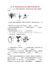 初中生物中考复习 中考生物总复习第二部分重点题型探究题型二识图题第三类生物体的结构层次以及生物圈中的绿色植物习题