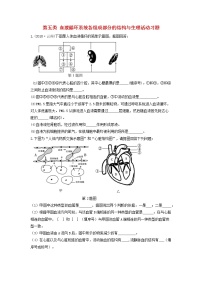 初中生物中考复习 中考生物总复习第二部分重点题型探究题型二识图题第五类血液循环系统各组成部分的结构与生理活动习题