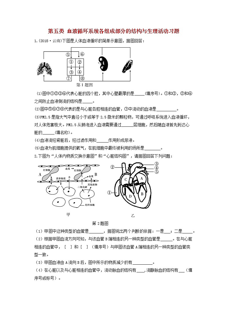 初中生物中考复习 中考生物总复习第二部分重点题型探究题型二识图题第五类血液循环系统各组成部分的结构与生理活动习题第1页