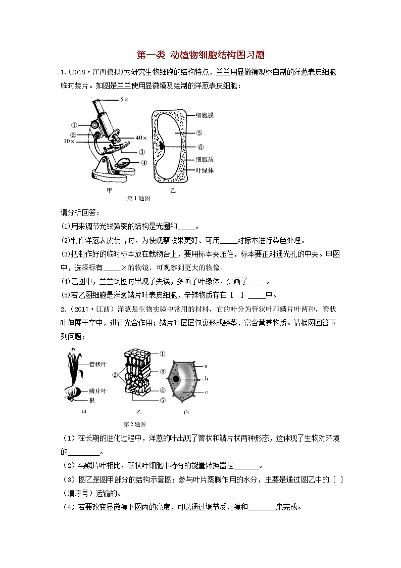 初中生物中考复习 中考生物总复习第二部分重点题型探究题型二识图题第一类动植物细胞结构图习题第1页