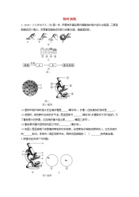 初中生物中考复习 中考生物总复习第二部分重点题型探究题型一实验题观察实验即时训练