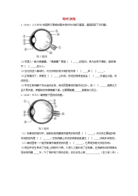 初中生物中考复习 中考生物总复习第二部分重点题型探究题型二识图题第七类视觉器官的结构与生理活动习题