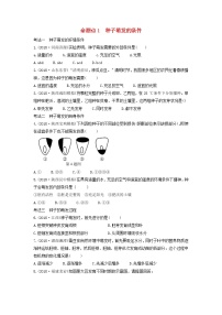 初中生物中考复习 中考生物总复习第一部分基醇点巩固第三单元生物圈中的绿色植物第二章被子植物的一生习题