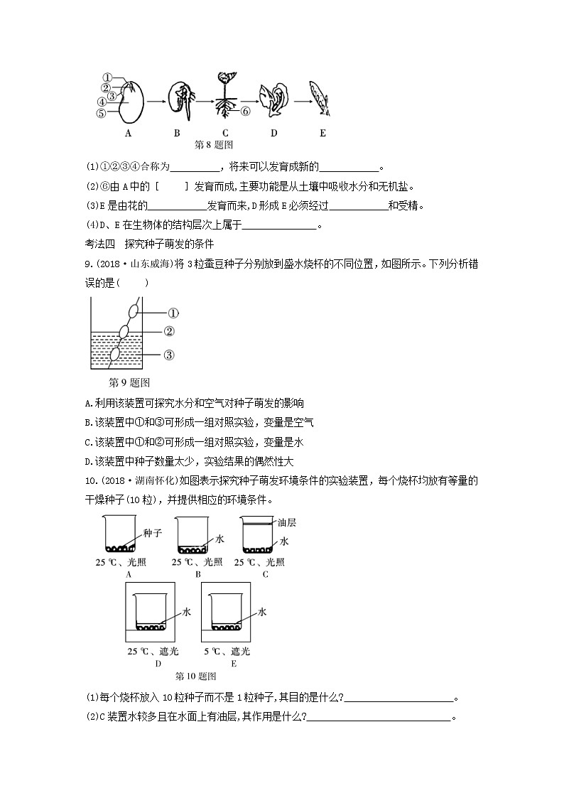 初中生物中考复习 中考生物总复习第一部分基醇点巩固第三单元生物圈中的绿色植物第二章被子植物的一生习题第2页