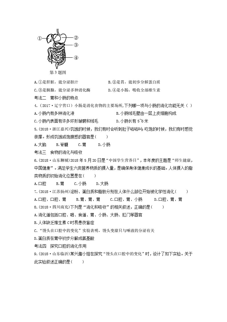 初中生物中考复习 中考生物总复习第一部分基醇点巩固第四单元生物圈中的人第二章人体的营养习题02