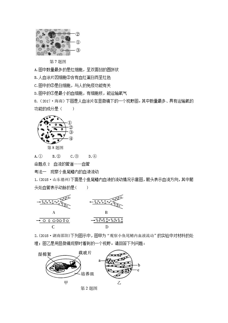 初中生物中考复习 中考生物总复习第一部分基醇点巩固第四单元生物圈中的人第四章人体内物质的运输习题02