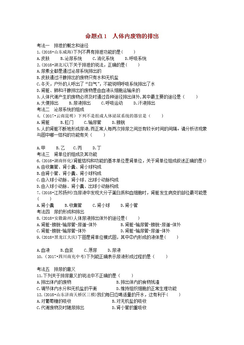 初中生物中考复习 中考生物总复习第一部分基醇点巩固第四单元生物圈中的人第五章人体内废物的排出习题01