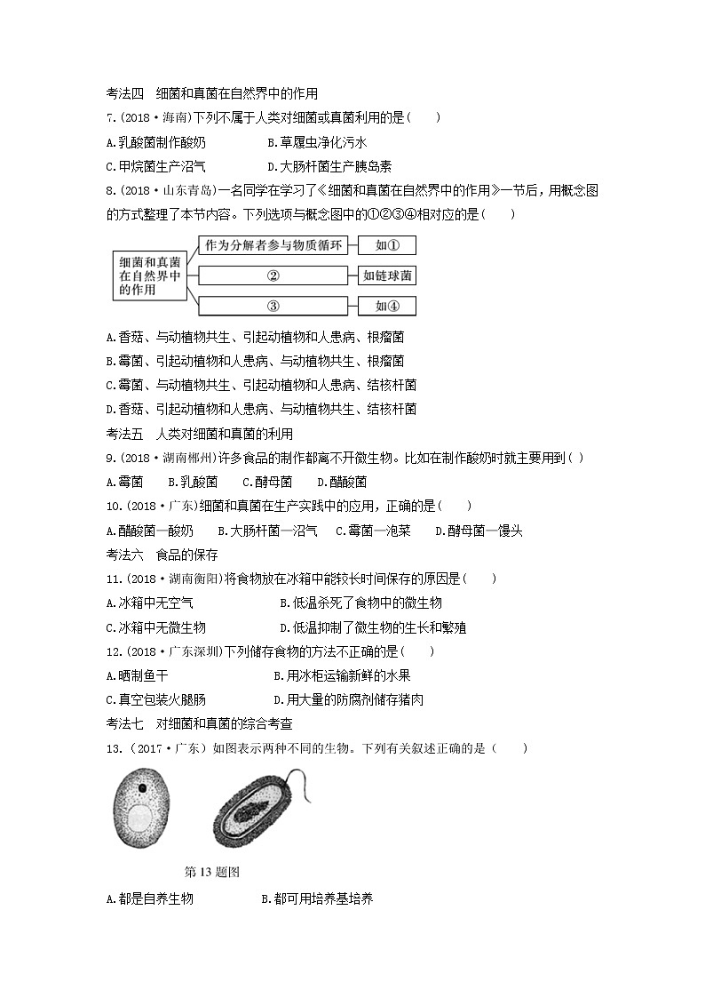 初中生物中考复习 中考生物总复习第一部分基醇点巩固第五单元生物圈中的其他生物第四五章细菌真菌以及簿习题02
