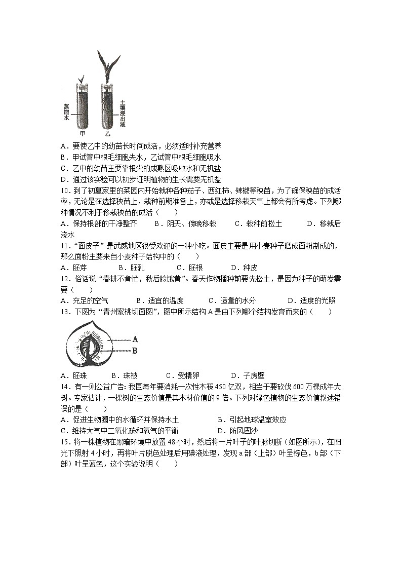 河北省邯郸市鸡泽县2022-2023学年七年级上学期期末生物试题02