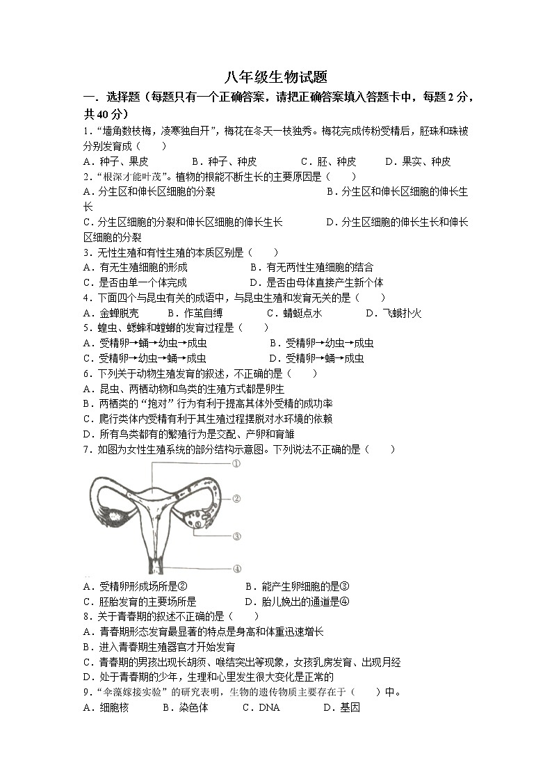 山东省济宁市金乡县2022-2023学年八年级上学期期末生物试题01
