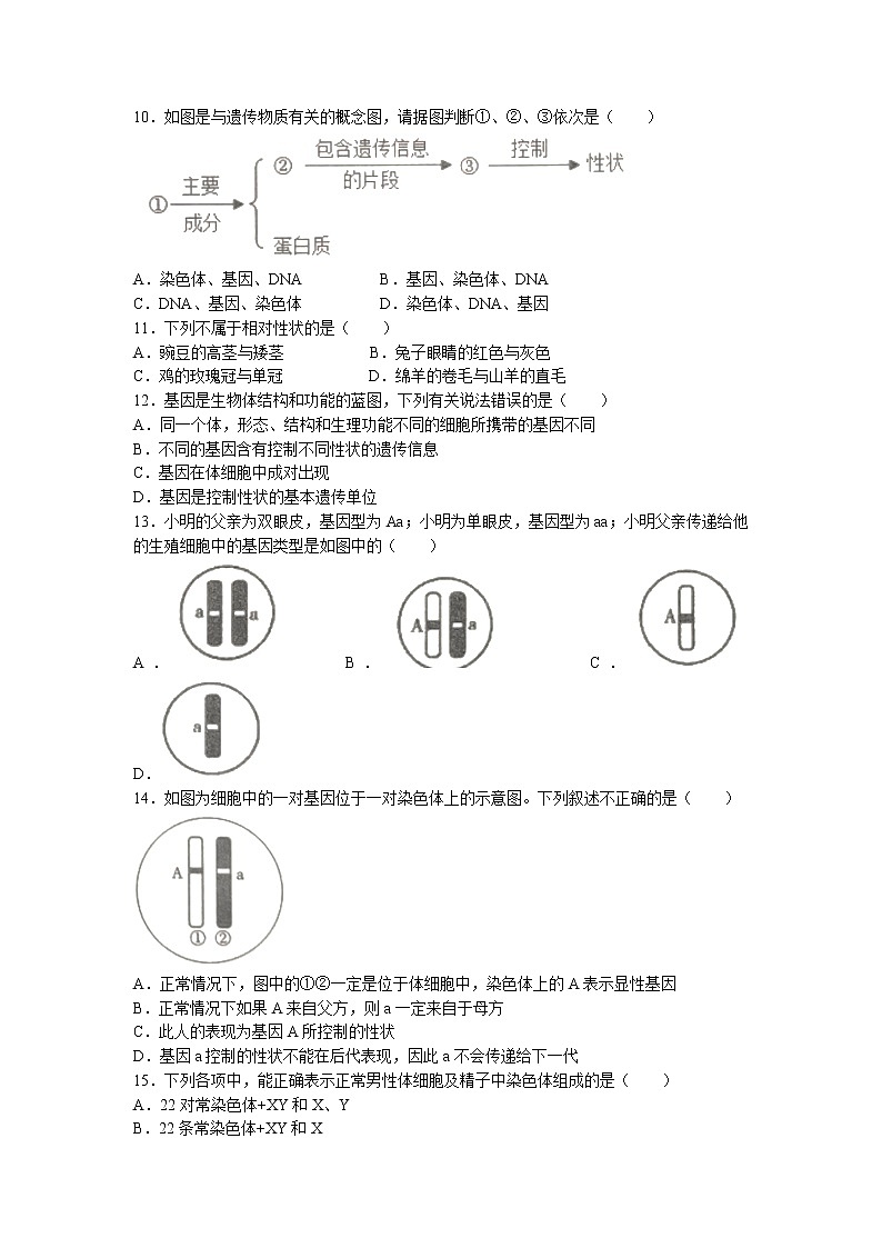 山东省济宁市金乡县2022-2023学年八年级上学期期末生物试题02
