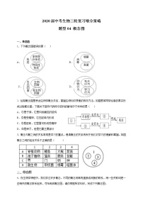 初中生物中考复习 题型04 概念图-2020届中考生物三轮复习增分策略(题型专练)