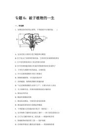 初中生物中考复习 中考生物会考复习专项训练6：被子植物的一生（ PDF版，解析版）