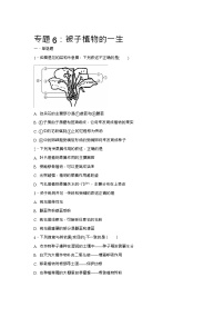 初中生物中考复习 中考生物会考复习专项训练6：被子植物的一生（ Word，解析版）