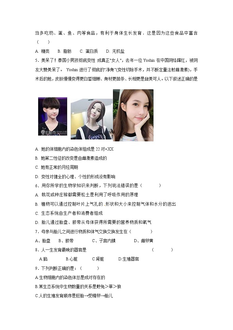 初中生物中考复习 中考生物会考复习专项训练11：人体的营养（基础版，含详解）02