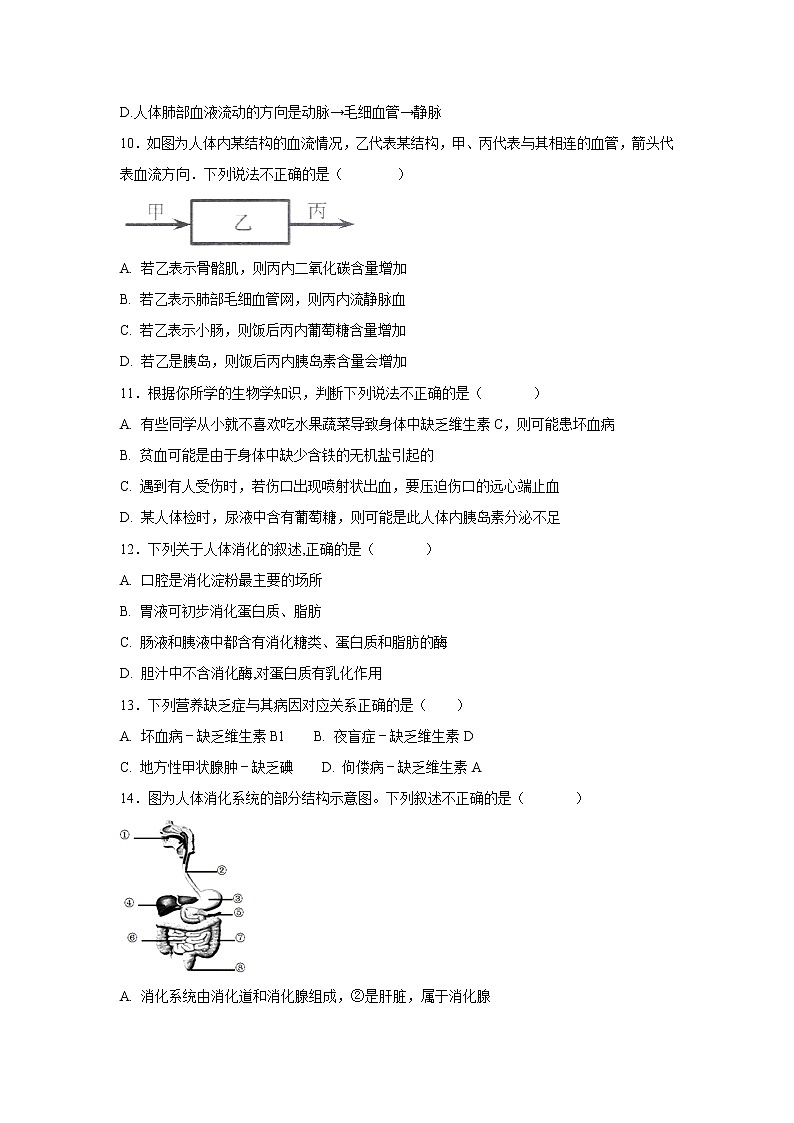 初中生物中考复习 中考生物会考复习专项训练11：人体的营养（基础版，含详解）03