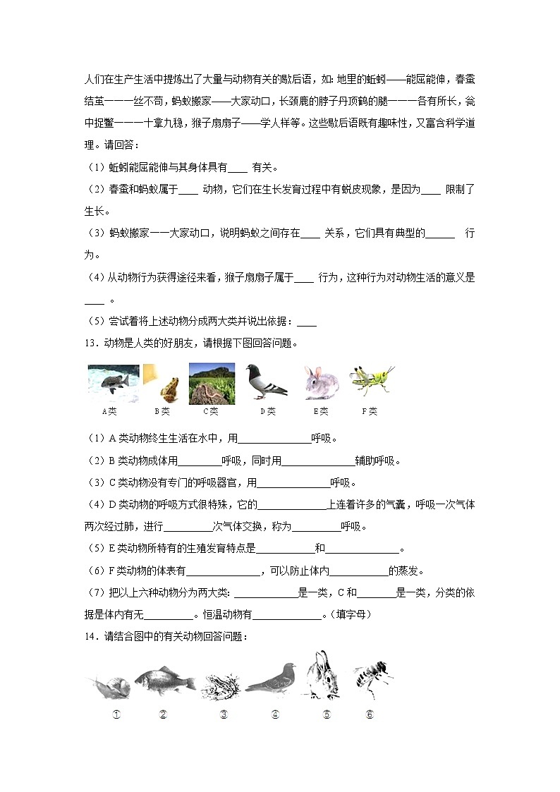 初中生物中考复习 中考生物会考复习专项训练17：各种环境中的动物（基础版，含详解）03