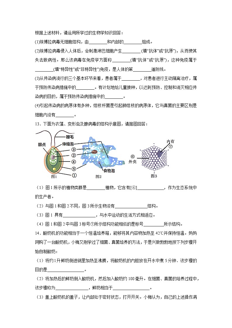 初中生物中考复习 中考生物会考复习专项训练20：广泛分布的真菌和细菌（基础版，含详解）第3页