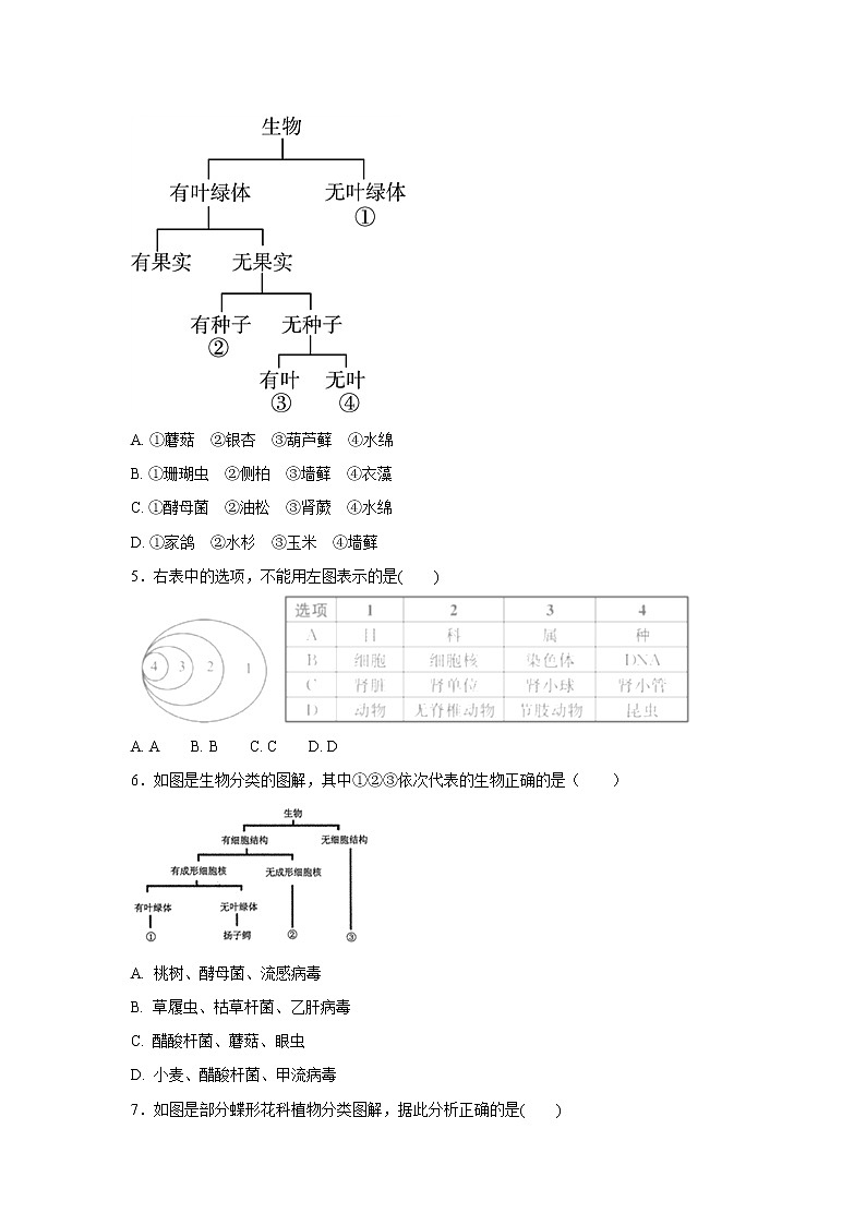 初中生物中考复习 中考生物会考复习专项训练22：根据生物的特征进行分类（基础版，含详解）第2页