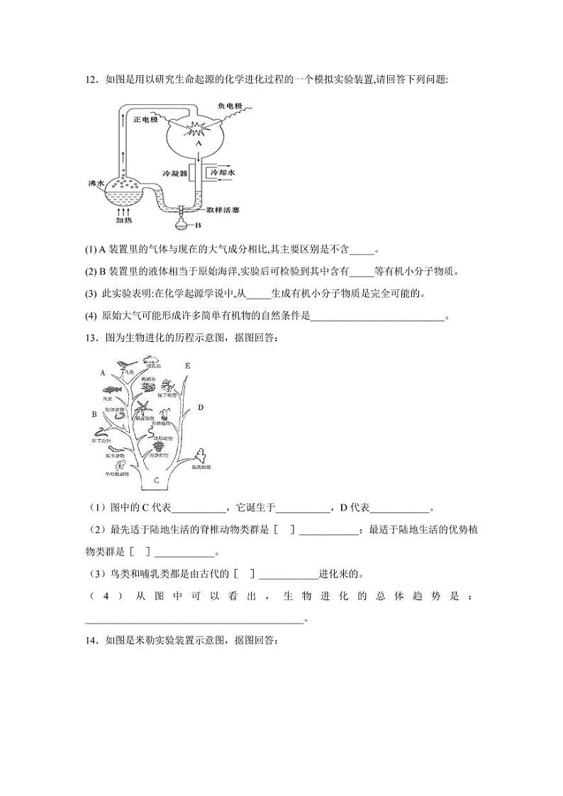 初中生物中考复习 中考生物会考复习专项训练27：生物的进化（基础版，含详解，PDF版）03