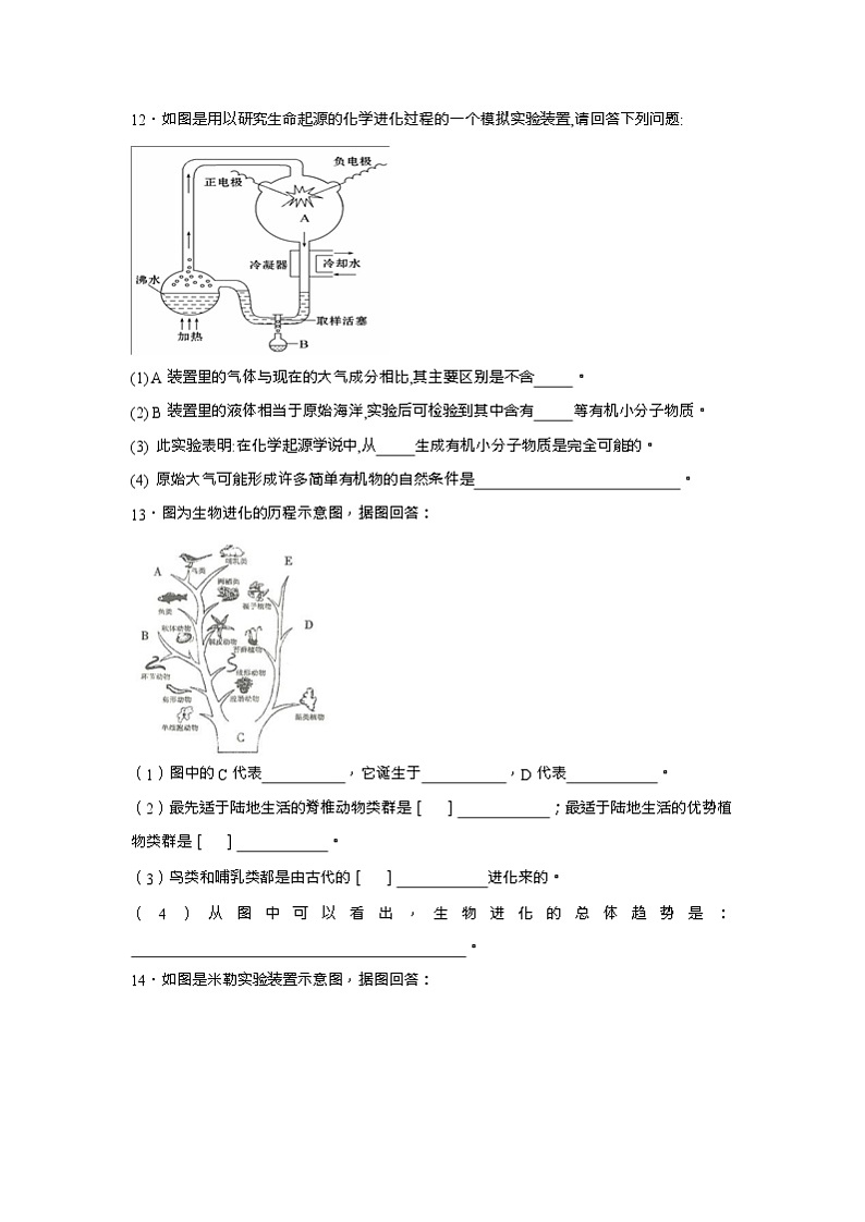 初中生物中考复习 中考生物会考复习专项训练27：生物的进化（基础版，含详解，Word版）03