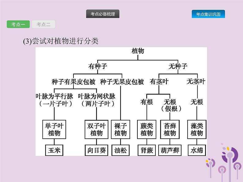 初中生物中考复习 课标通用中考生物总复习第六单元生物的多样性及其保护第十九讲生物分类认识和保护生物的多样性课件05