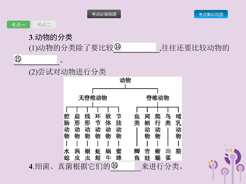 初中生物中考复习 课标通用中考生物总复习第六单元生物的多样性及其保护第十九讲生物分类认识和保护生物的多样性课件06