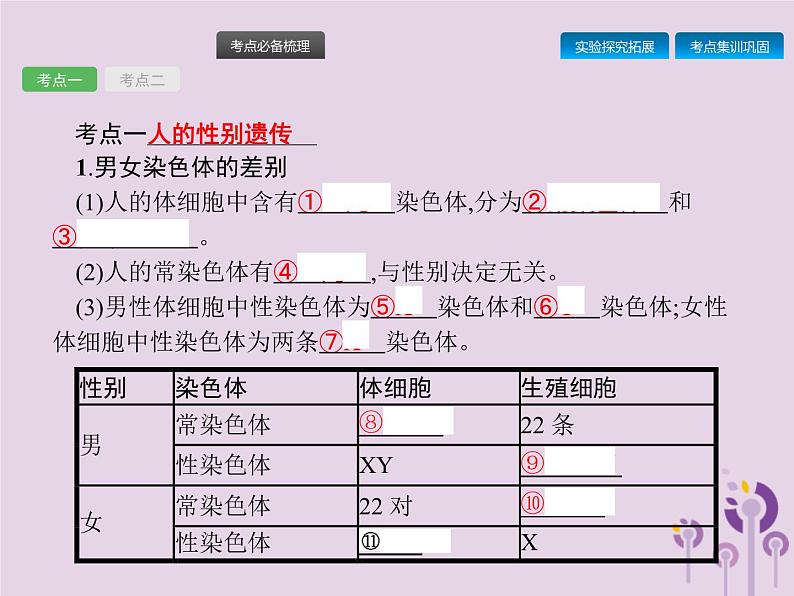 初中生物中考复习 课标通用中考生物总复习第七单元生物圈中生命的延续和发展第二十二讲生物的遗传和变异(二)课件02