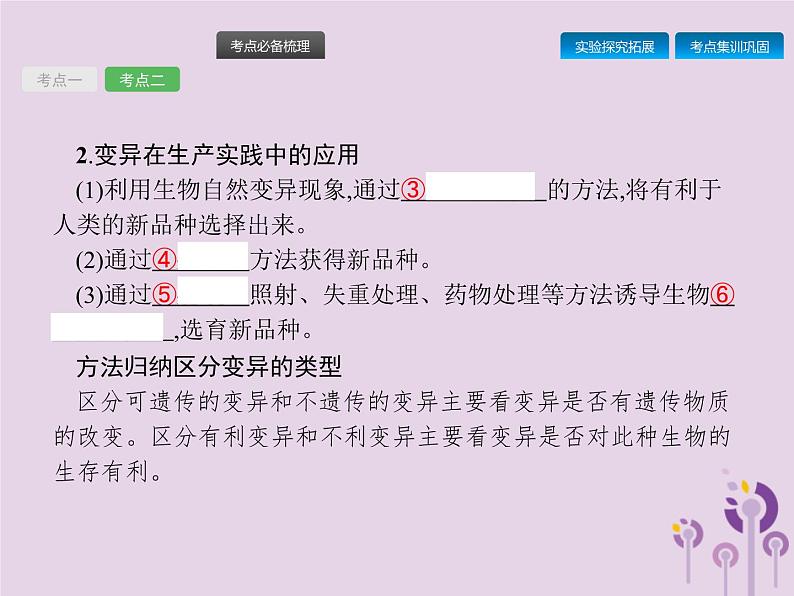 初中生物中考复习 课标通用中考生物总复习第七单元生物圈中生命的延续和发展第二十二讲生物的遗传和变异(二)课件07