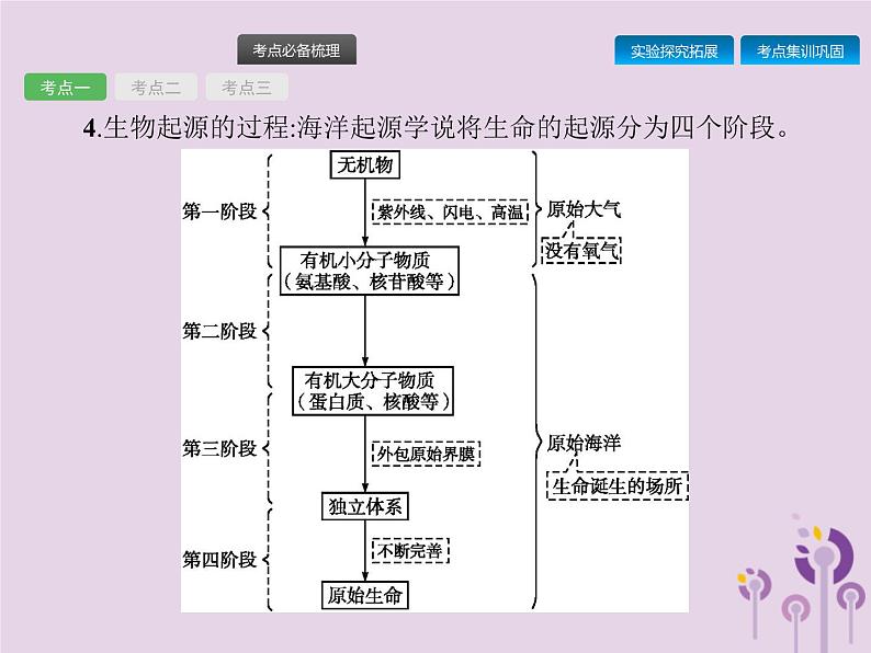 初中生物中考复习 课标通用中考生物总复习第七单元生物圈中生命的延续和发展第二十三讲生命起源和生物进化课件03