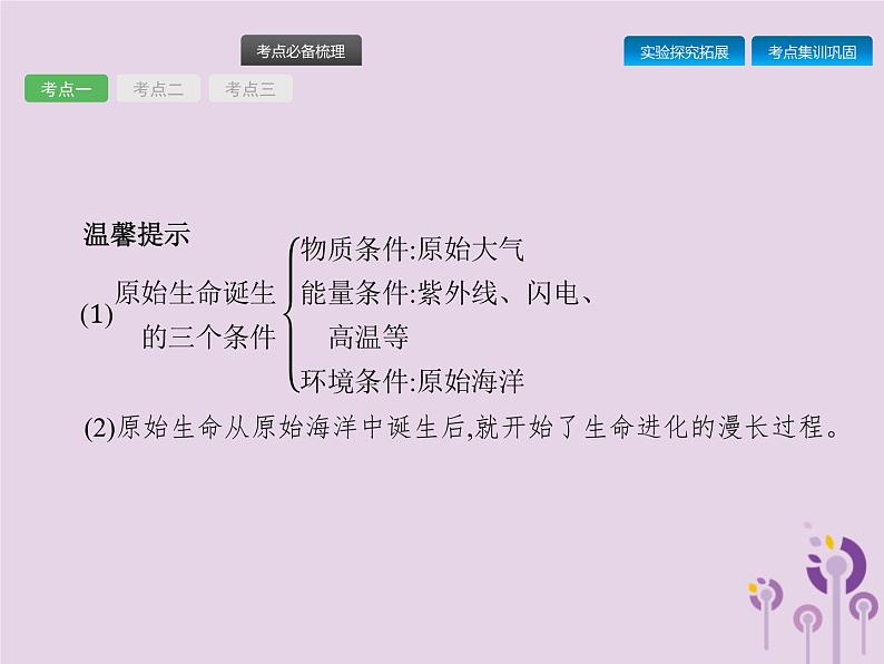 初中生物中考复习 课标通用中考生物总复习第七单元生物圈中生命的延续和发展第二十三讲生命起源和生物进化课件04