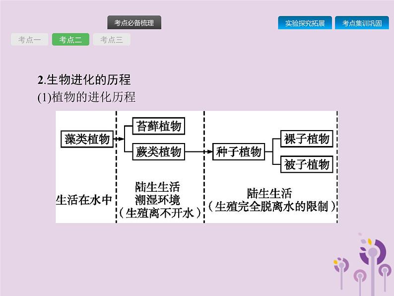 初中生物中考复习 课标通用中考生物总复习第七单元生物圈中生命的延续和发展第二十三讲生命起源和生物进化课件06