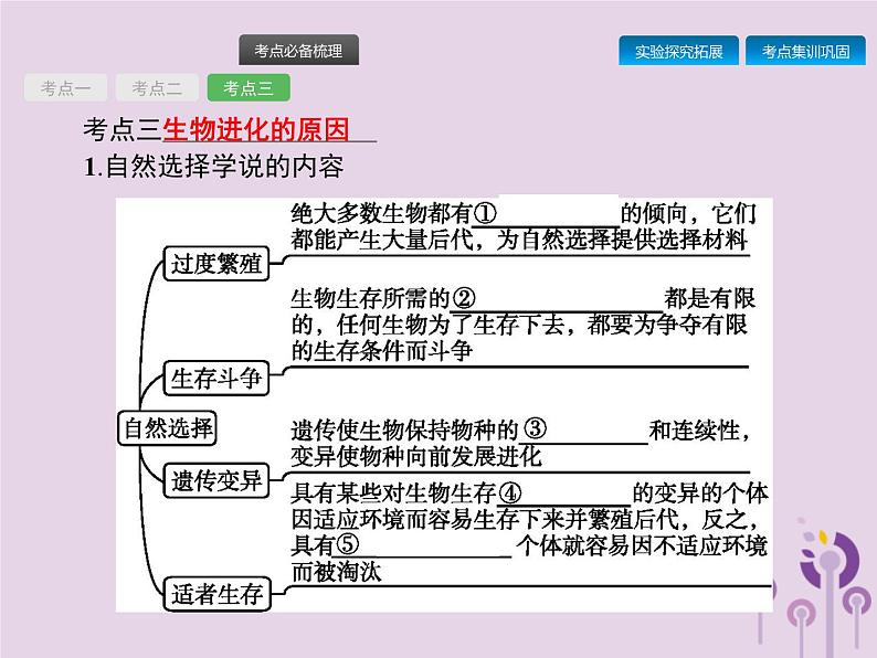 初中生物中考复习 课标通用中考生物总复习第七单元生物圈中生命的延续和发展第二十三讲生命起源和生物进化课件08