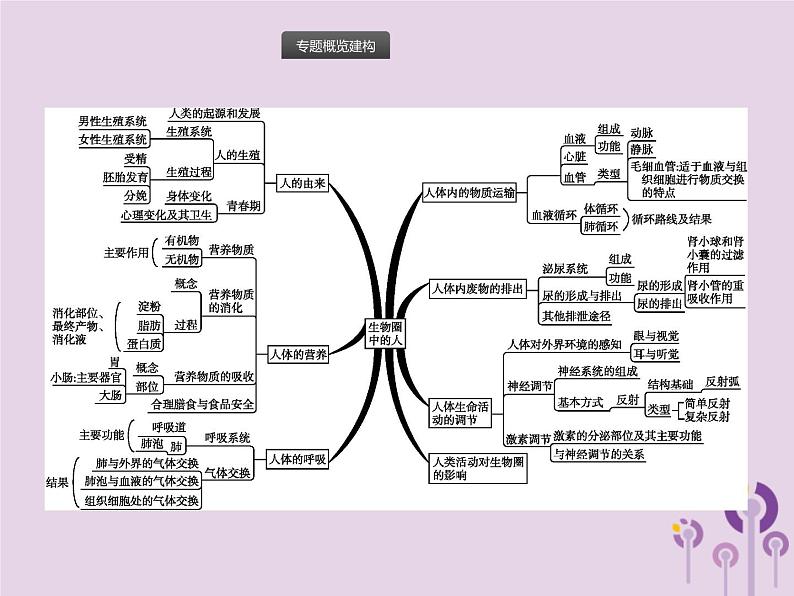 初中生物中考复习 课标通用中考生物总复习专题四生物圈中的人课件02