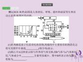 初中生物中考复习 课标通用中考生物总复习专题四生物圈中的人课件