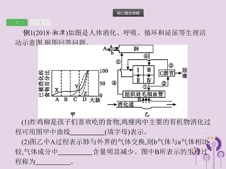 初中生物中考复习 课标通用中考生物总复习专题四生物圈中的人课件04