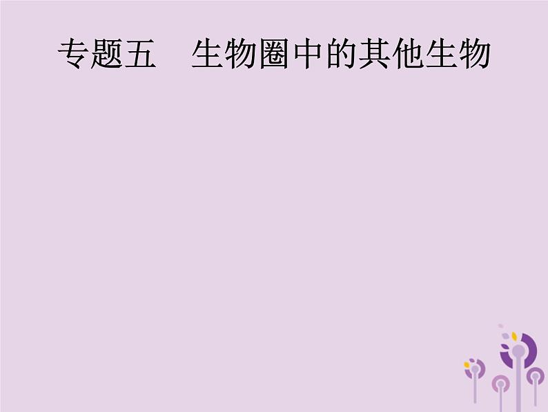 初中生物中考复习 课标通用中考生物总复习专题五生物圈中的其他生物课件第1页