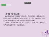 初中生物中考复习 课标通用中考生物总复习专题五生物圈中的其他生物课件
