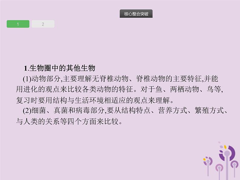 初中生物中考复习 课标通用中考生物总复习专题五生物圈中的其他生物课件第3页